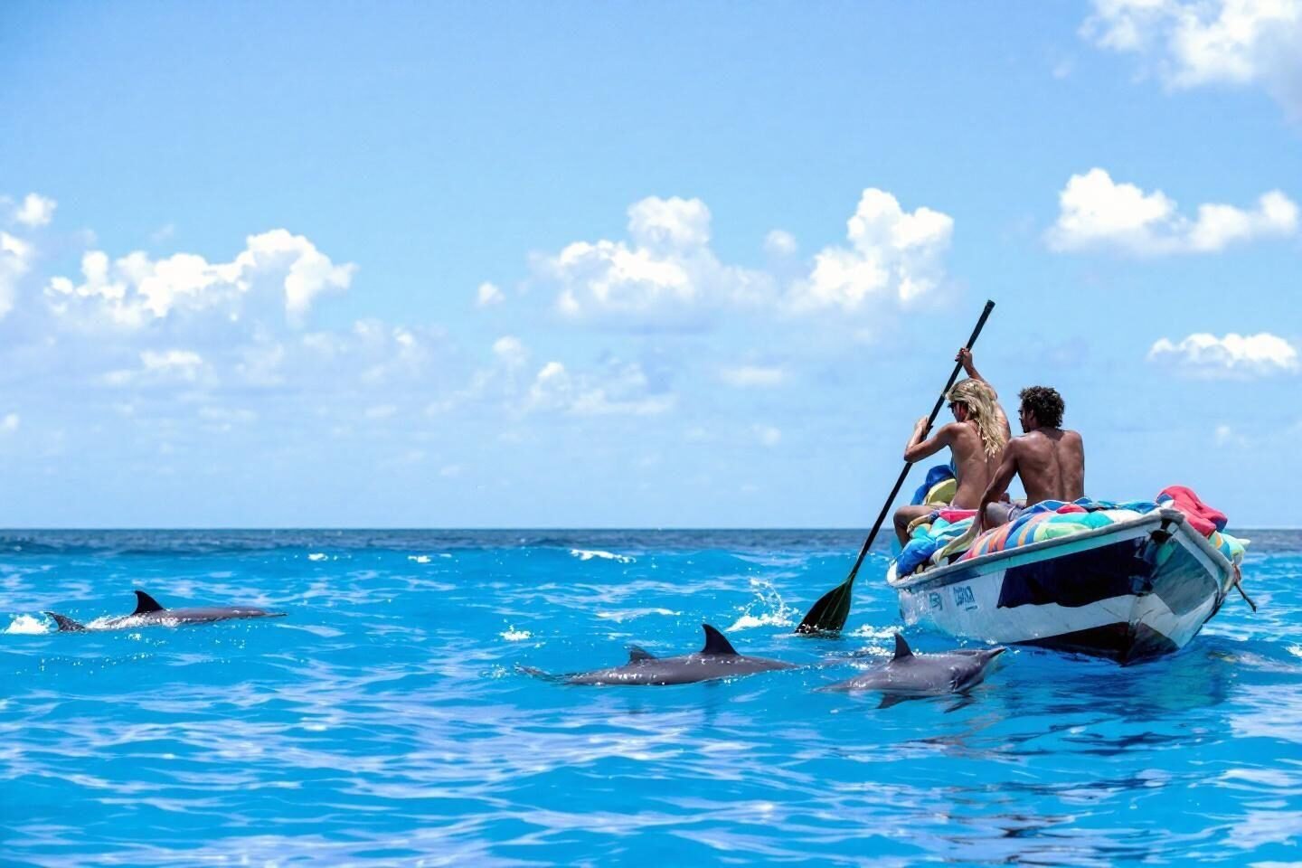 Que faire à Zanzibar ? Les meilleures activités et lieux incontournables Deux personnes en bateau près de dauphins bleus océan